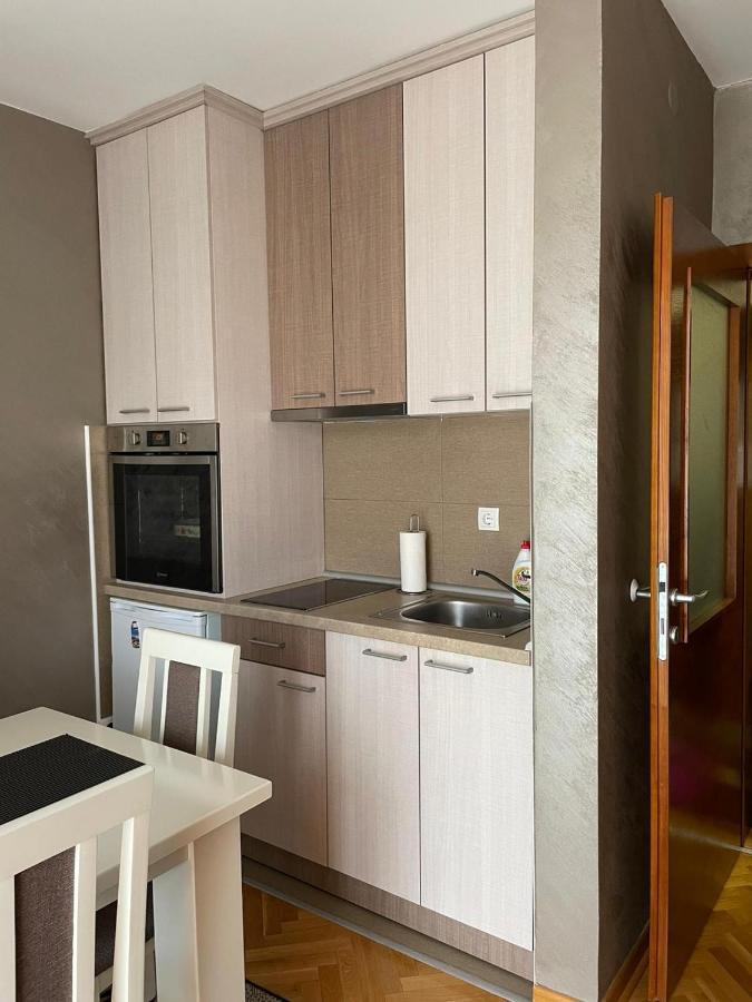 Apartman Miniki Vrnjačka Banja Exteriér fotografie