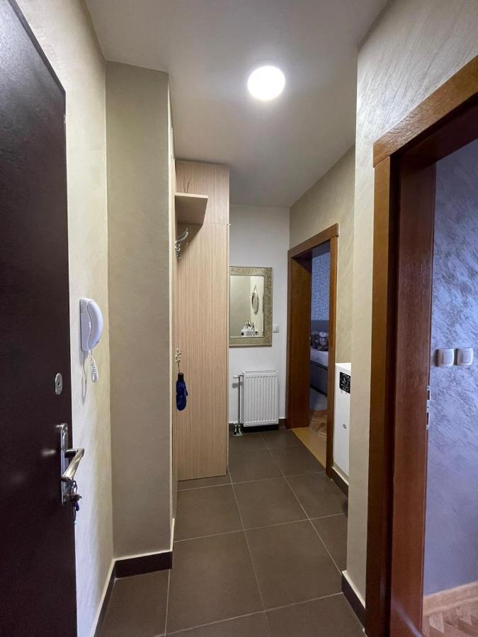 Apartman Miniki Vrnjačka Banja Exteriér fotografie