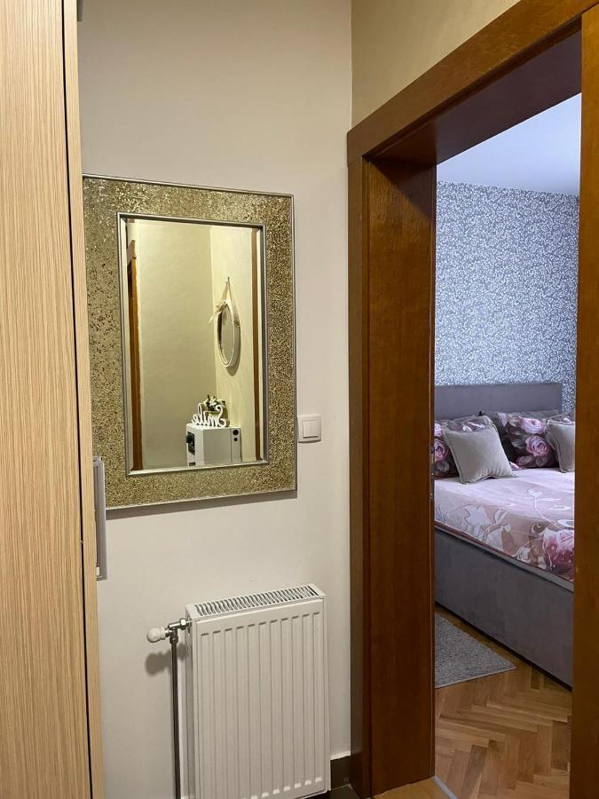 Apartman Miniki Vrnjačka Banja Exteriér fotografie