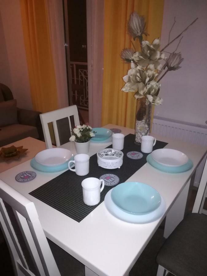 Apartman Miniki Vrnjačka Banja Exteriér fotografie